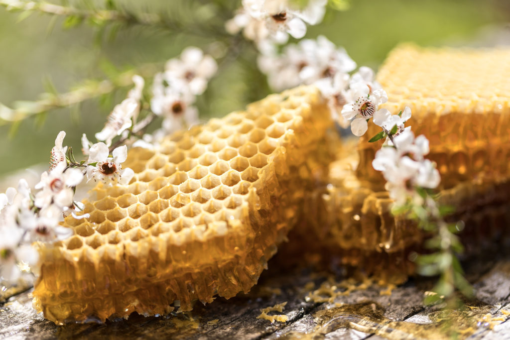 Raw slab of soft yellow honeycomb with stems of pink and white Manuka flowers.