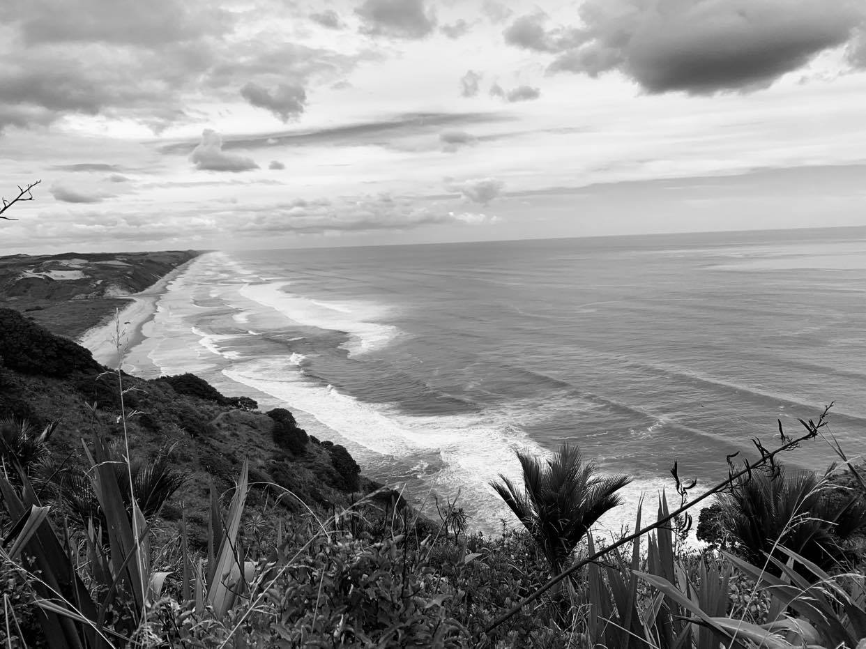 A black and white photograph of the west coast of Northland, New Zealand. Dense native bush stretches down the hills to the shoreline, with nikau palms and flax.